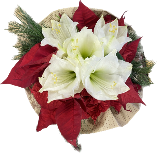 Produkte :: BLOOMY GmbH