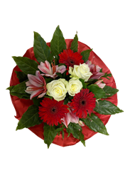 Produkte :: BLOOMY GmbH